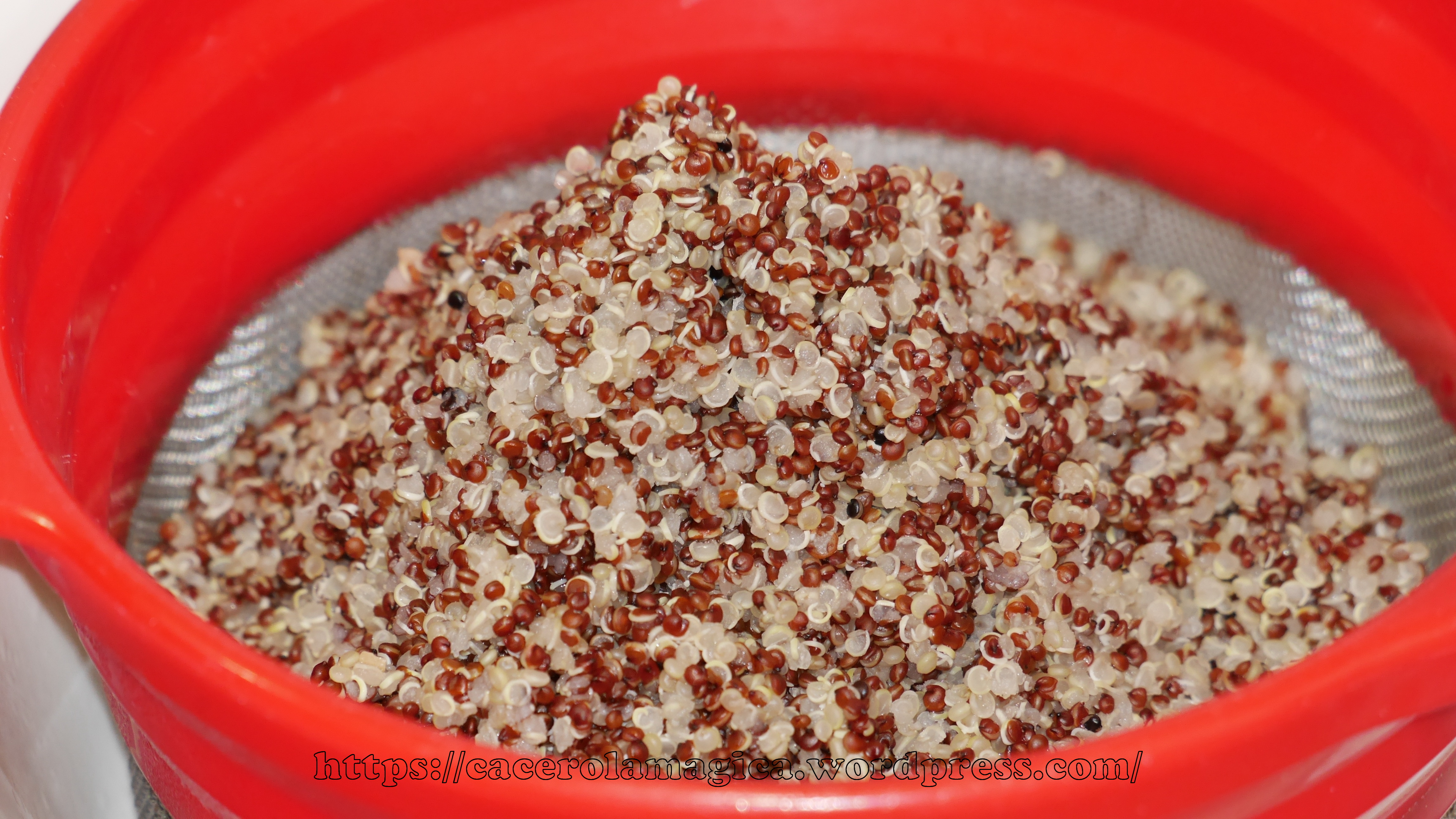 Taboulé de quinoa04